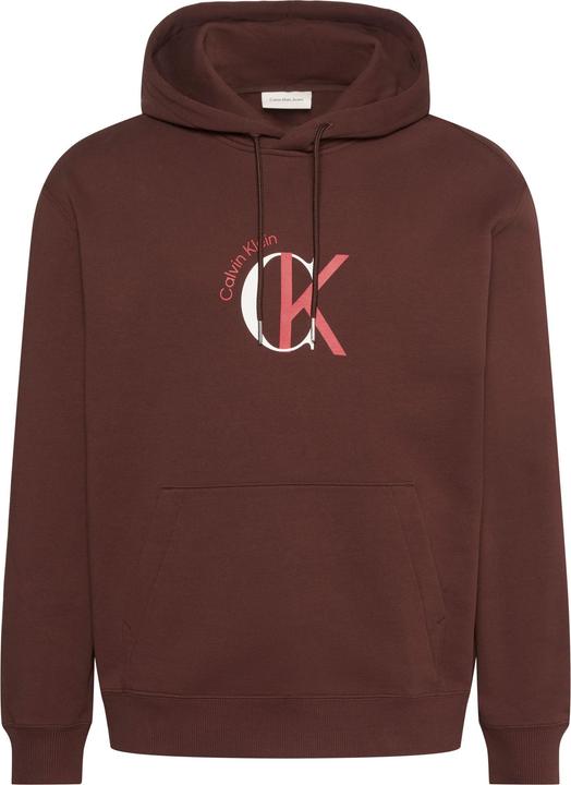 Image du produit Calvin Klein Sweat à capuche graphique (XL)