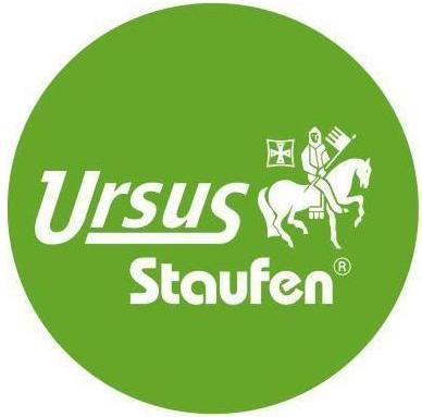 Produktbild Ursus Geschäftsbuch 2115B96K 608380 DIN A5 96Blatt 80g kariert (A5, Kariert)