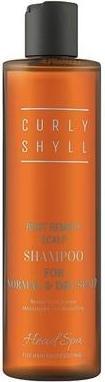 Curly Shyll Root Remedy Scalp Shampoo for Normal to Dry Scalp 8 Oz (800 ml, Flüssiges Shampoo)