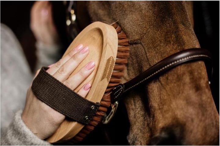 Actual product image Grooming Deluxe Card brush soft Overall Brush Soft