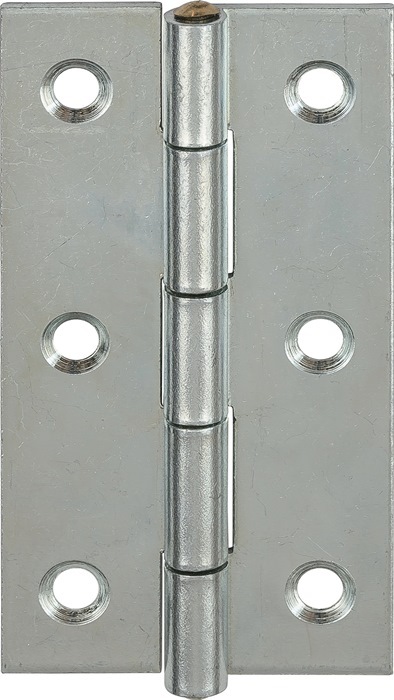 Actual product image Vormann Narrow hinges galvanised 50 x 31 mm