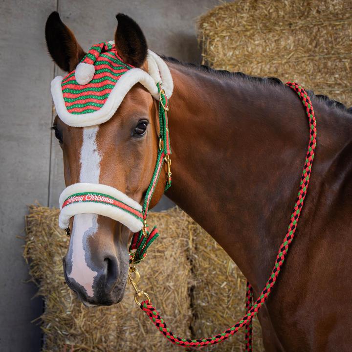 Immagine prodotto Harry's Horse Christmas