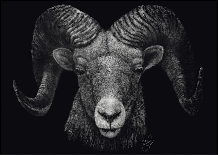 Image du produit Schmidt Spiele Bélier Sous le signe du feu 1000 pièces (1000 pièces)