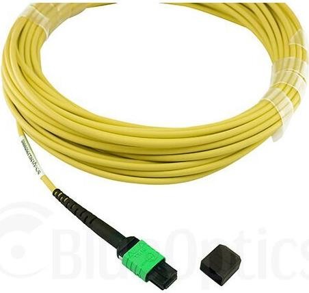 Immagine prodotto BlueOptics Cavo patch MTP-4LC-S10M compatibile MTP-4xLC monomodale 10 metri di Juniper (10 m)