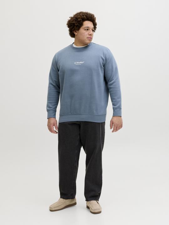 Produktbild Jack & Jones Jjesoho Sweat Crew Neck Noos Pls (7XL)