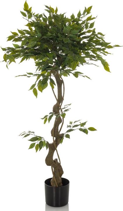 Actual product image Hjh Office Ficus I (120 cm)