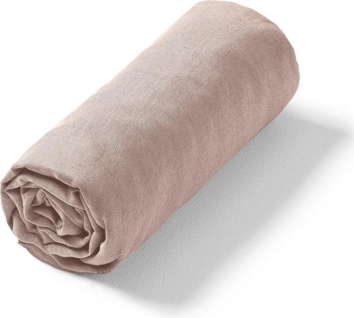 Rosa veneto
