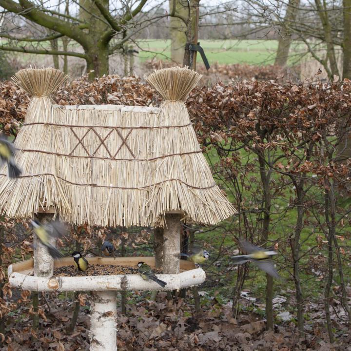 Produktbild Esschert Design Futterhaus Birke auf Ständer L