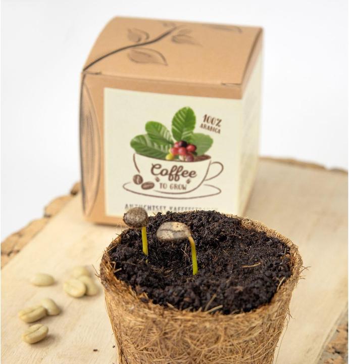 Produktbild Naturkraftwerk Anzuchtset Coffee-to-grow mit Kaffeesaatgut
