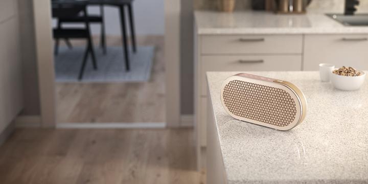 Image du produit Dali Katch (24 h)