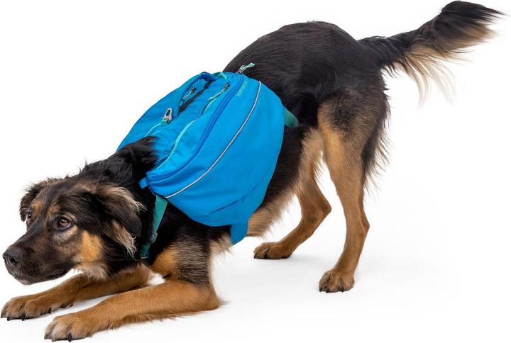 Actual product image Ruffwear Approach Pack (M)