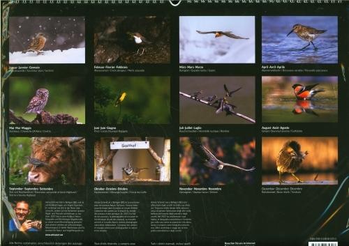 Actual product image Birds of Switzerland 2025
