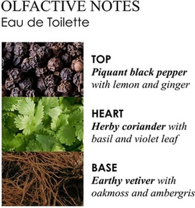 Produktbild Molton Brown M. Re-Charge Black Pepper Edt 50ml (Eau de Toilette, 50 ml)