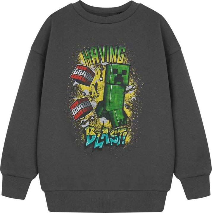 Minecraft Having A Blast Sweatshirt Jungen (128)