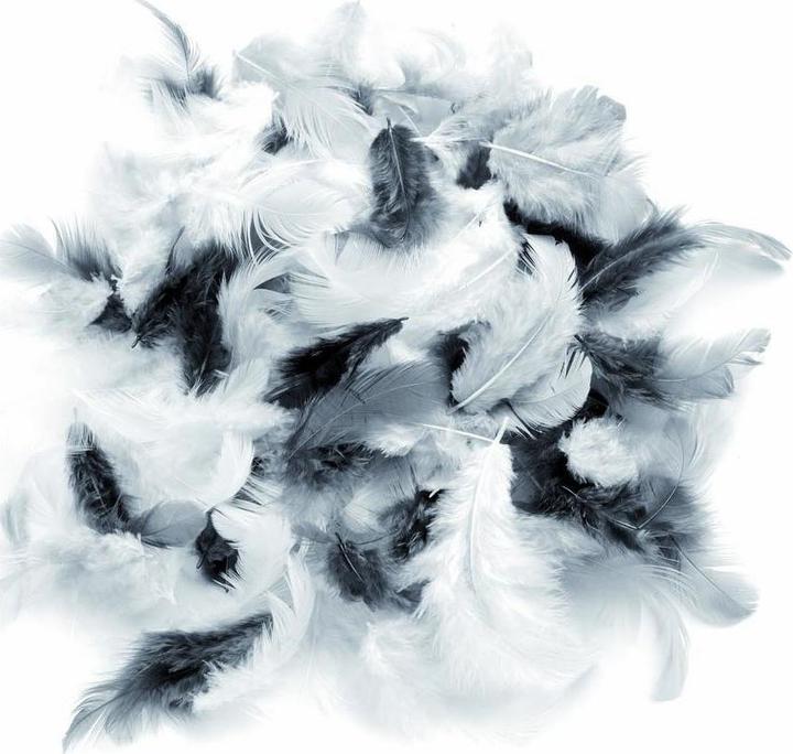 Actual product image Glorex Deco feathers