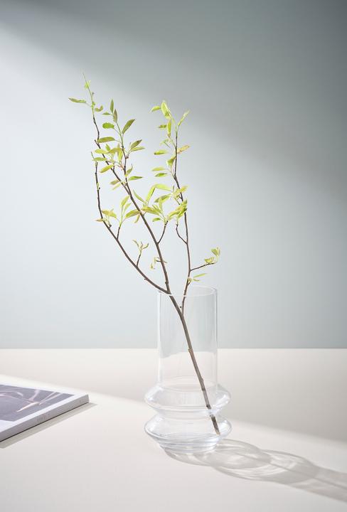 Image du produit Jotex Haze (1x)