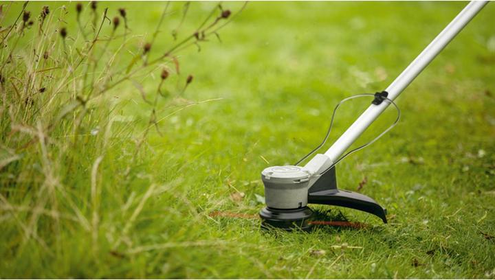 Actual product image Bosch Home & Garden AdvancedGrassCut 36V-33 solo cordless lawn trimmer (Trim line)