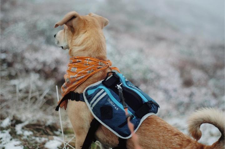 Produktbild Dogpak Moab Lite Hunderucksack M (M, Hundeoverall)