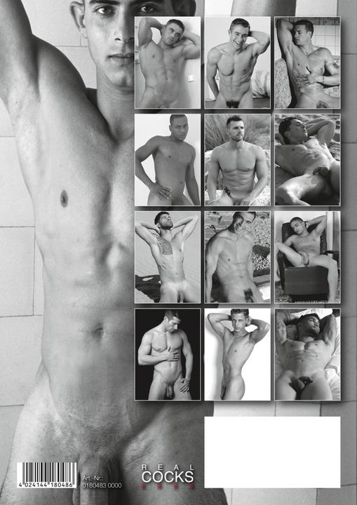 Actual product image Orion Pin-Up Calendar