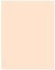 Actual product image Dior Forever No Transfer 24H Foundation (1.5N Neutral)