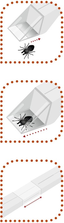 Productafbeelding Windhager Insectenvanger