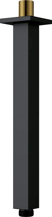 Deante Douche-uitloop voor plafond - 250 mm