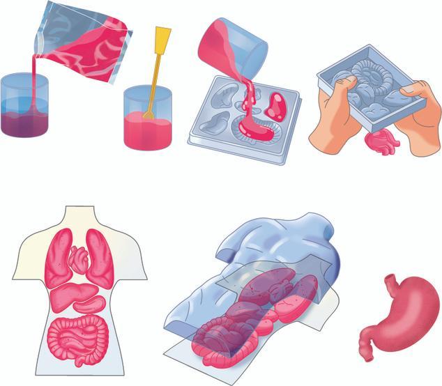 Actual product image Clementoni Experimentierset Galileo Squishy Anatomie