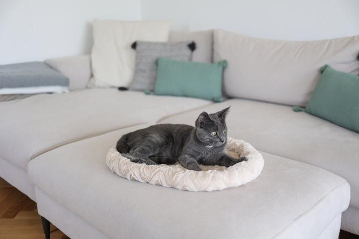 Actual product image Kerbl Cuddle Bed (Dog)