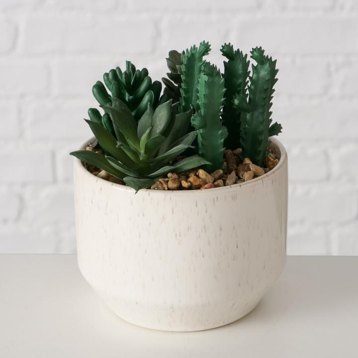 Image du produit Boltze Home Succulentes (12.50 cm)