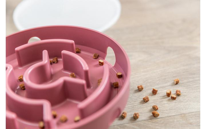 Actual product image Trixie Cat Activity Rocking Maze (Intelligence toy cat)