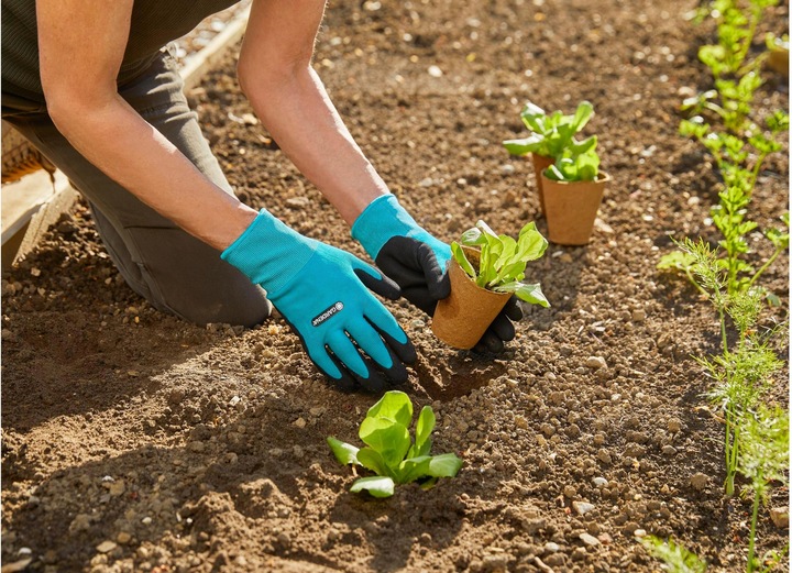 Productafbeelding Gardena Planten en bodemhandschoen (M)