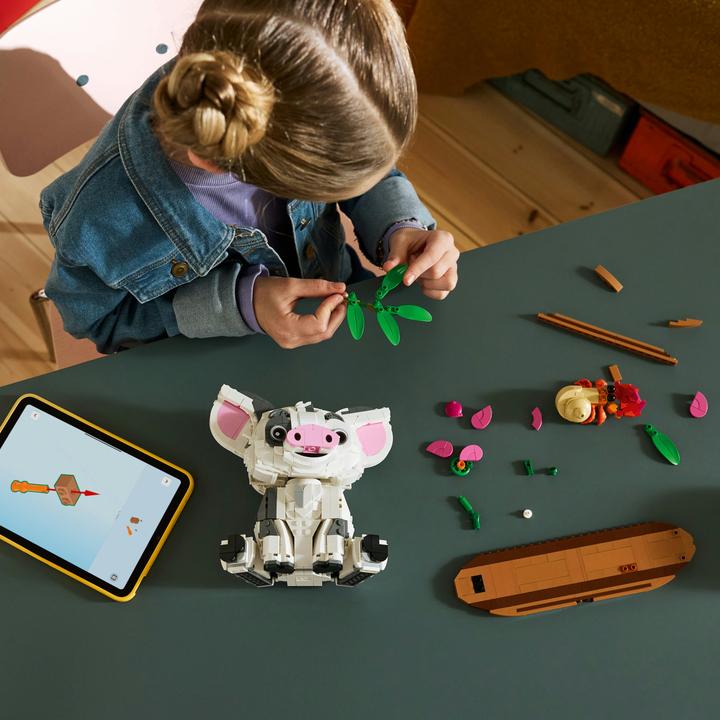 Image du produit LEGO 43292 Pua