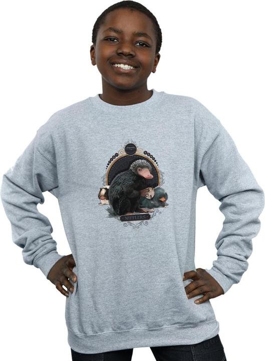 Produktbild Fantastic Beasts Baby Nifflers Sweatshirt Jungen (140, 146)