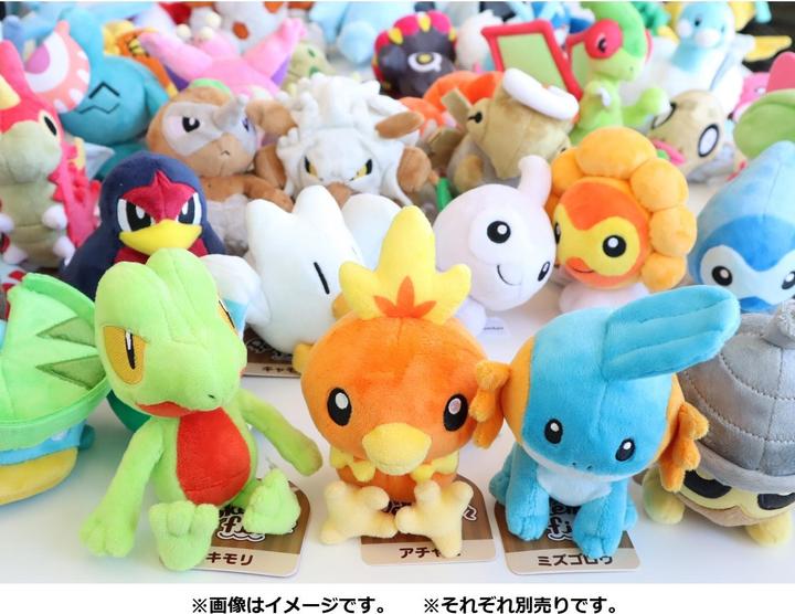 Actual product image Pokémon Mudkip Sitting Cuties Plush - 16.5 cm (13 cm)