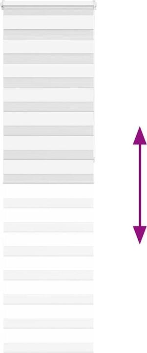 Produktbild vidaXL Zebra-Jalousie (60 x 230 cm)