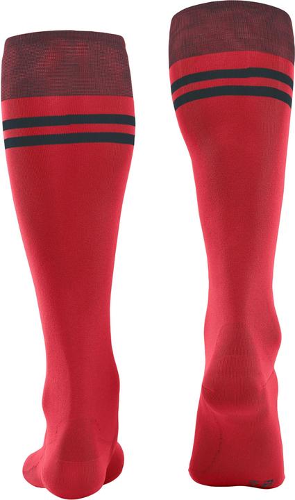 Actual product image Falke SK7 Race (39 - 41)