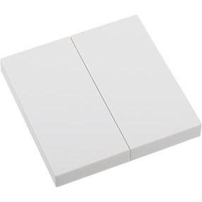 Eldat 2 Tasten Ein/Aus RTS23-ACC-01-02P2 für Wandtaster RTS23 weiss Format 55, Automatisierung