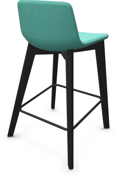 Mint, Mint, Black, Ash stained black