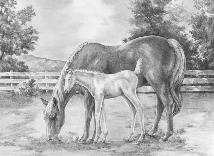 Produktbild Royal & Langnickel Sketching Made Easy Set (304010)