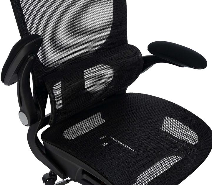 Immagine prodotto CLP Kaylee (48 - 55 cm)