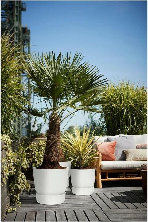 Produktbild Elho Greenville (47 x 44 cm)