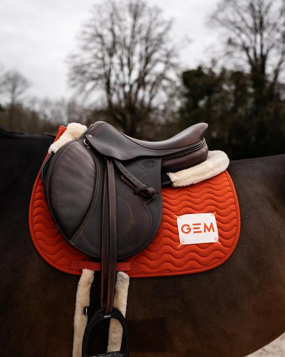 Actual product image GEM Touc Touc Obstacle