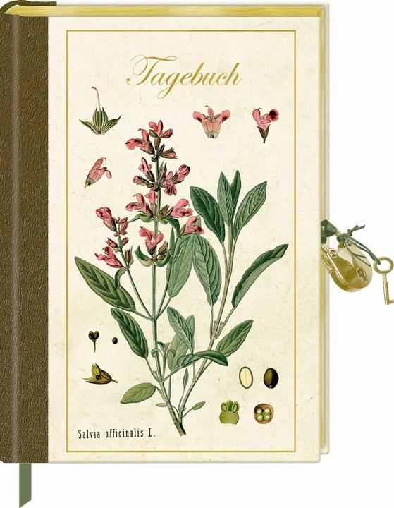 Diary with lock Samml.Augustina (Lined, Hardcover)