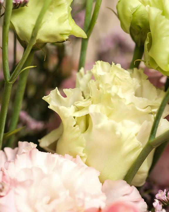 Image du produit feey Lumière du matin Deluxe (Fleurs coupées, 20x)