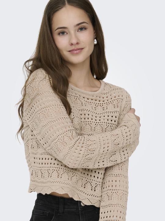 Actual product image Only ONLELKE Strickpullover Strickpullover (XS)