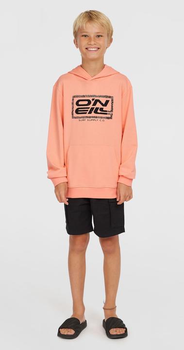 Image du produit O'Neill Logo Hoodie (164)