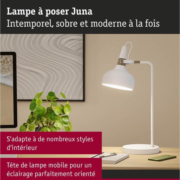 Image du produit Paulmann Juna (E14)