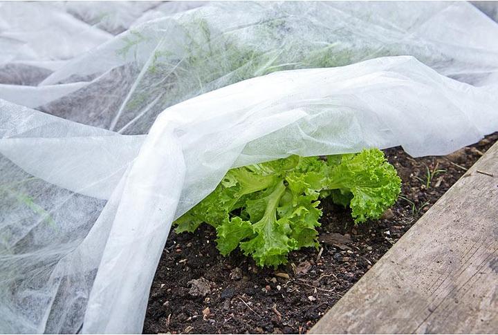 Produktbild Royal Gardineer 4er-Set Frostschutz-Gartenvlies für Mikroklima, je 10 x 1,6 m, 17 GSM