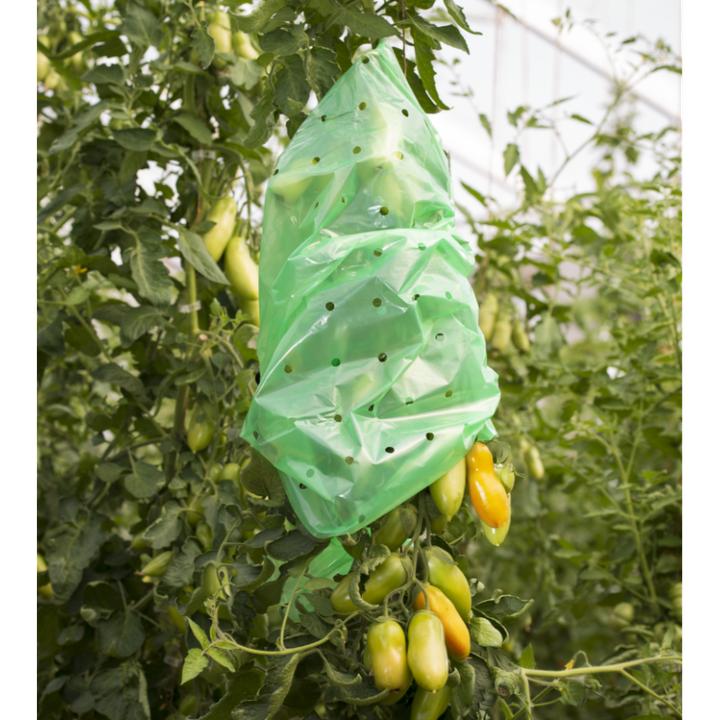 Immagine prodotto Windhager Cappuccio per pomodori 10x0.75m