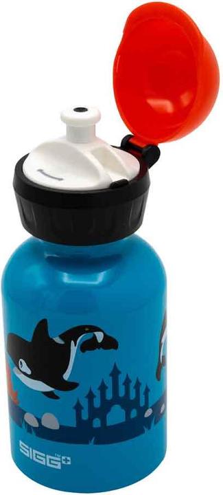 Produktbild Sigg Kbt (0.30 l)
